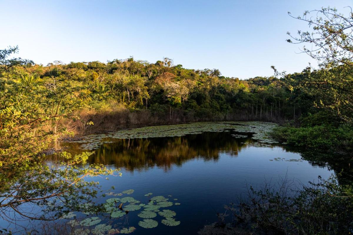 Fazenda Hotel Candeal Conceicao de Jacuipe المظهر الخارجي الصورة