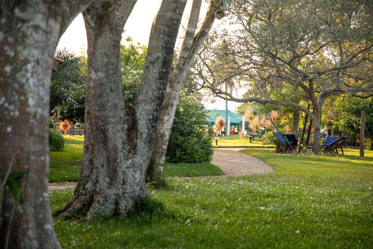 Fazenda Hotel Candeal Conceicao de Jacuipe المظهر الخارجي الصورة