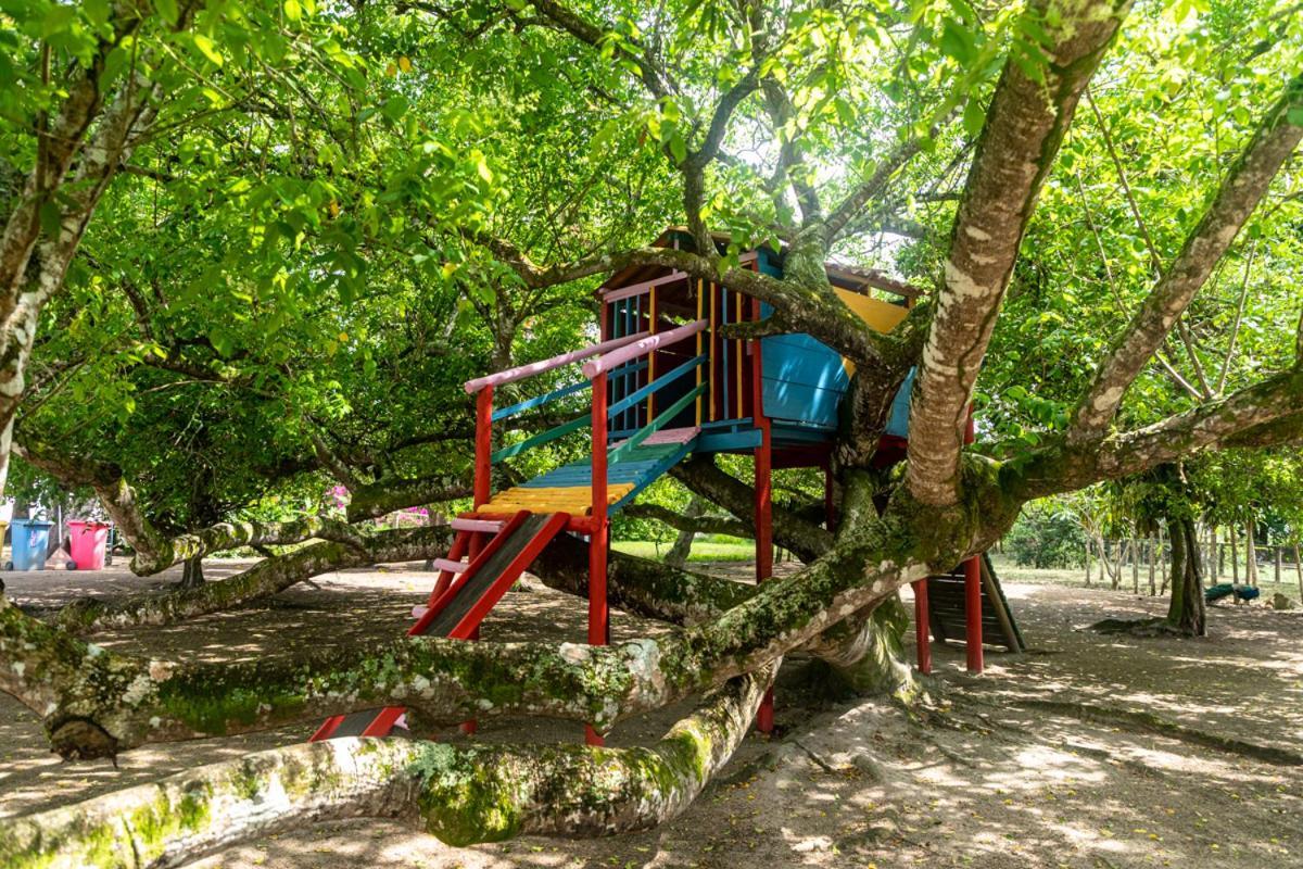 Fazenda Hotel Candeal Conceicao de Jacuipe المظهر الخارجي الصورة